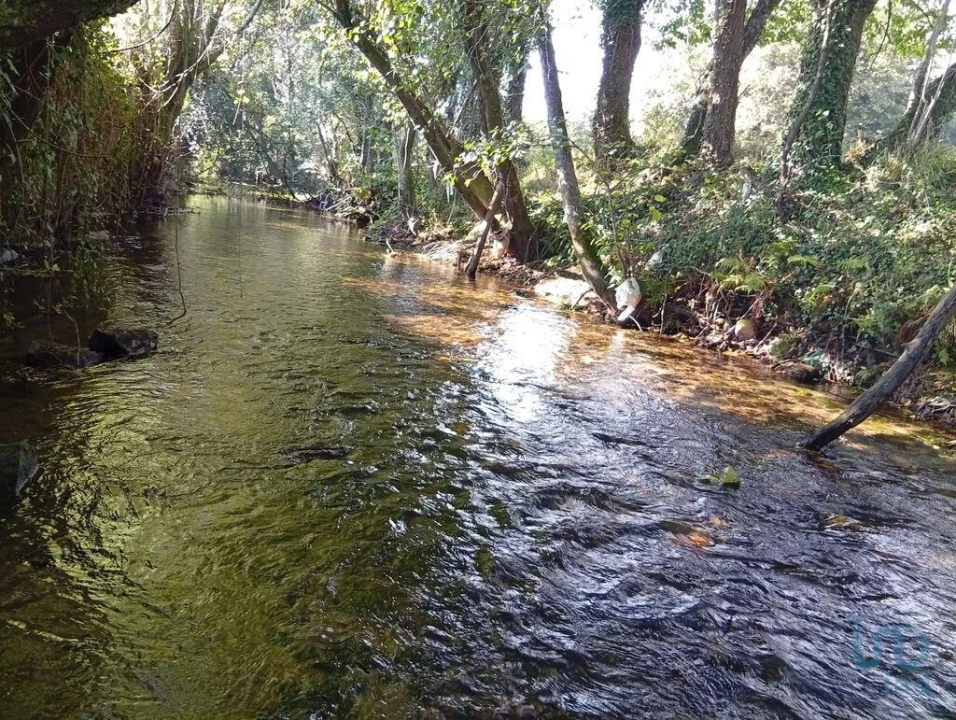Terreno para Venda em Anais Foto 11