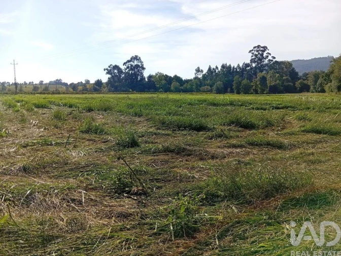 Terreno para Venda em Anais Foto 19