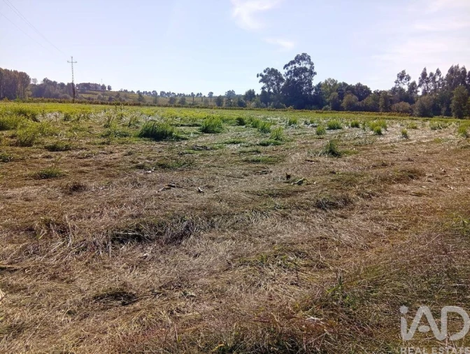 Terreno para Venda em Anais Foto 27