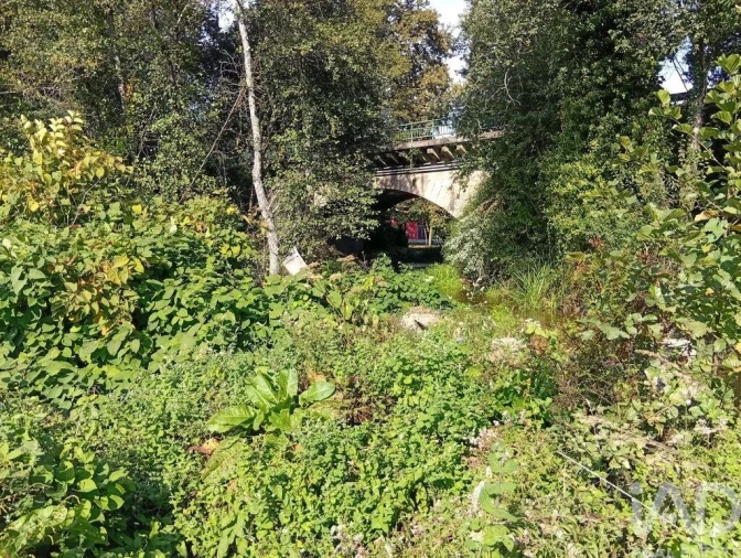 Terreno para Venda em Anais Foto 21