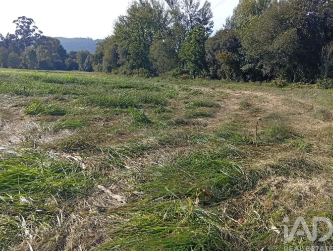 Terreno para Venda em Anais Foto 17