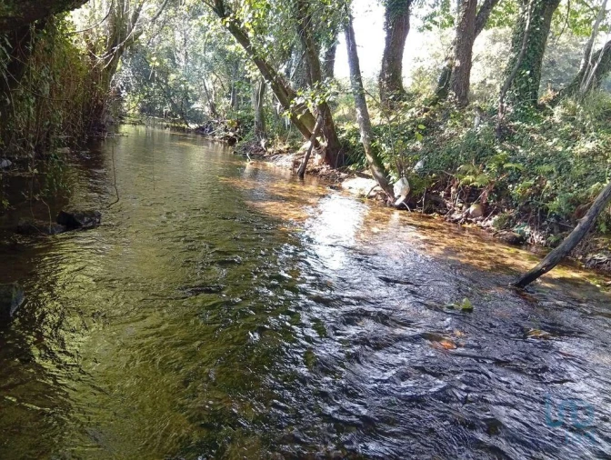 Terreno para Venda em Anais Foto 11