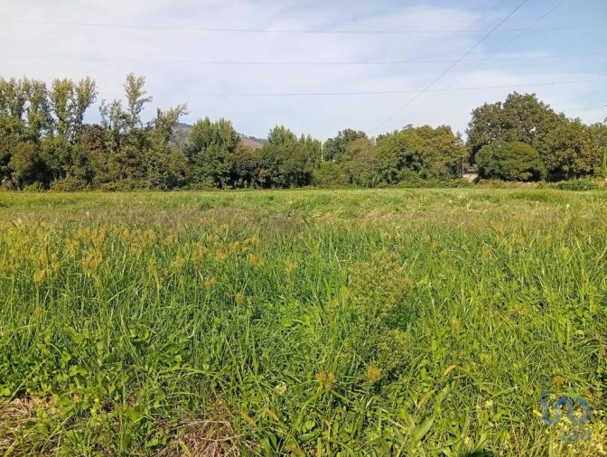 Terreno para Venda em Anais