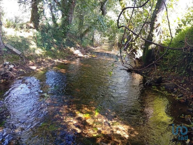 Terreno para Venda em Anais Foto 6