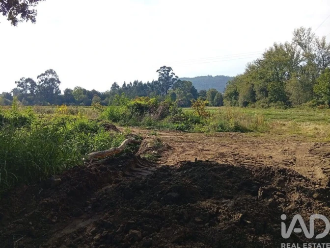 Terreno para Venda em Anais Foto 22