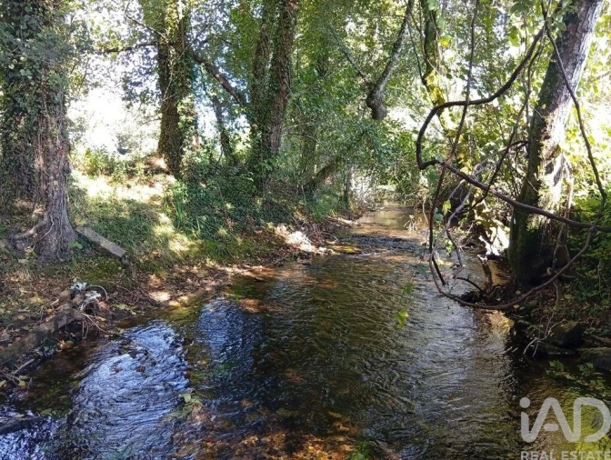 Terreno para Venda em Anais Foto 30