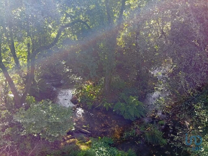 Terreno para Venda em Anais Foto 13