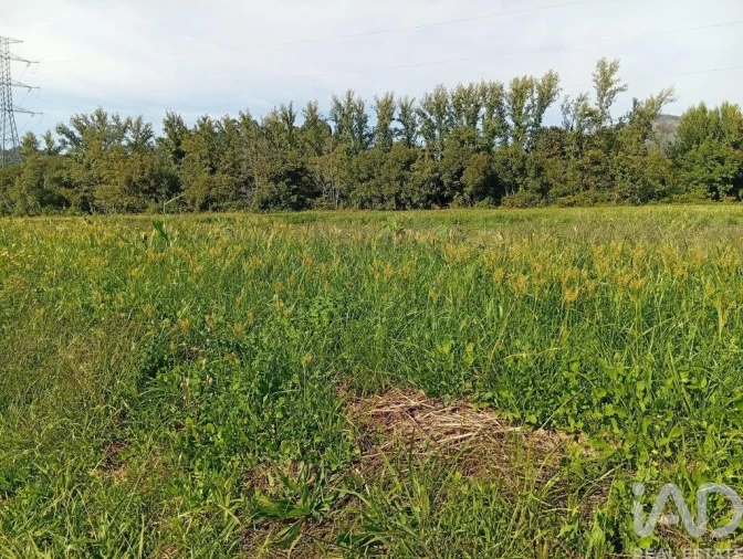 Terreno para Venda em Anais Foto 29