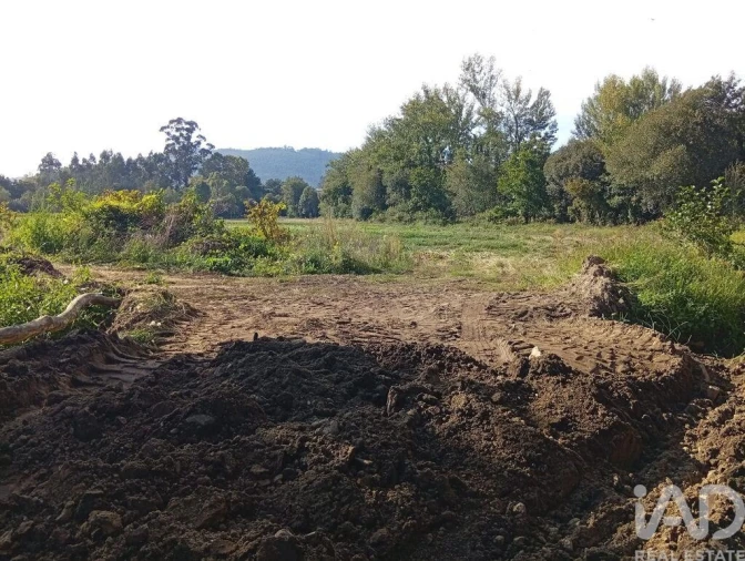 Terreno para Venda em Anais Foto 23