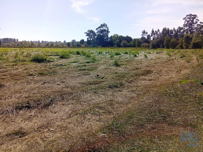Terreno para Venda em Anais Foto 5