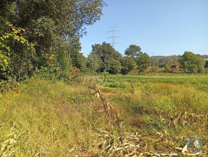 Terreno para Venda em Anais Foto 12