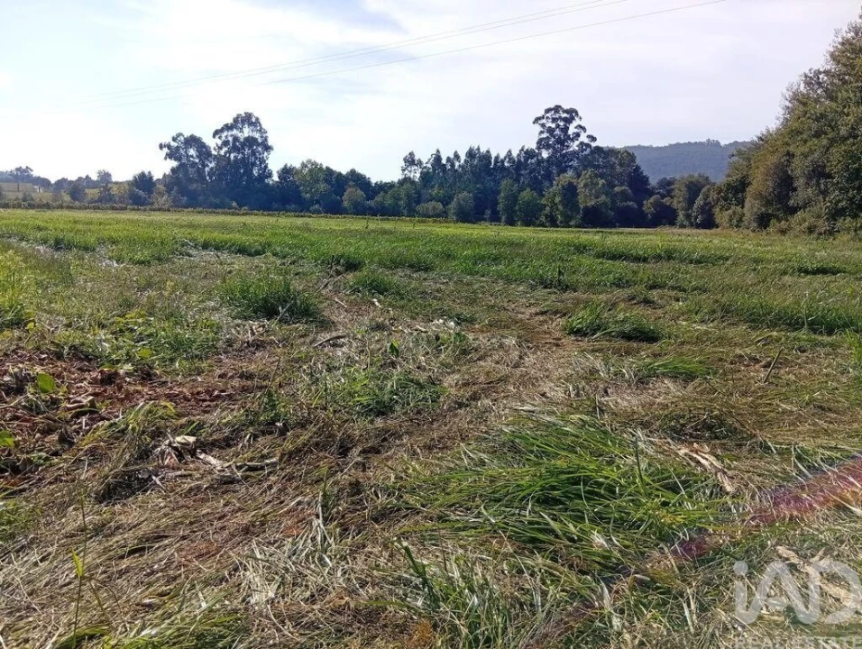 Terreno para Venda em Anais Foto 18