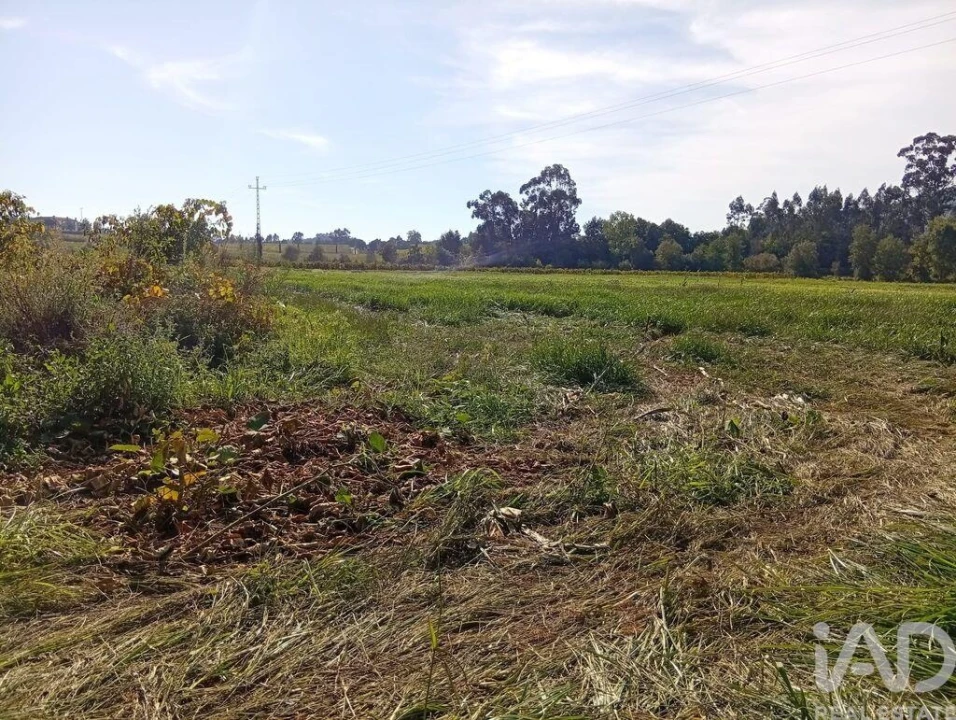 Terreno para Venda em Anais Foto 16