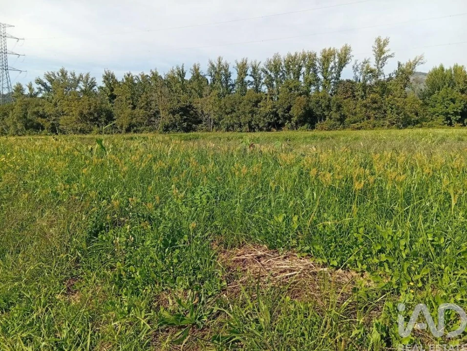 Terreno para Venda em Anais Foto 29