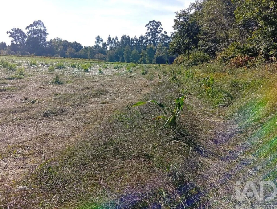 Terreno para Venda em Anais Foto 25