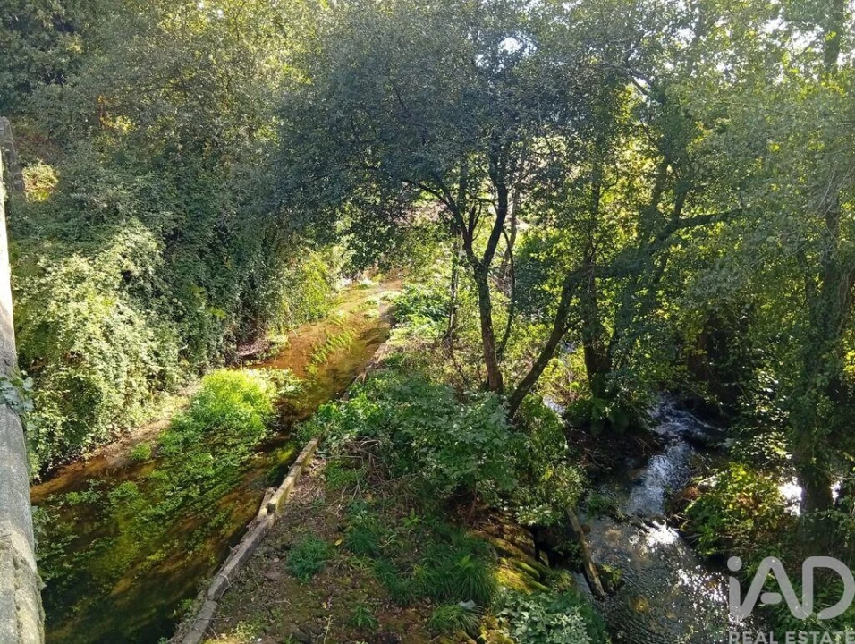 Terreno para Venda em Anais Foto 15