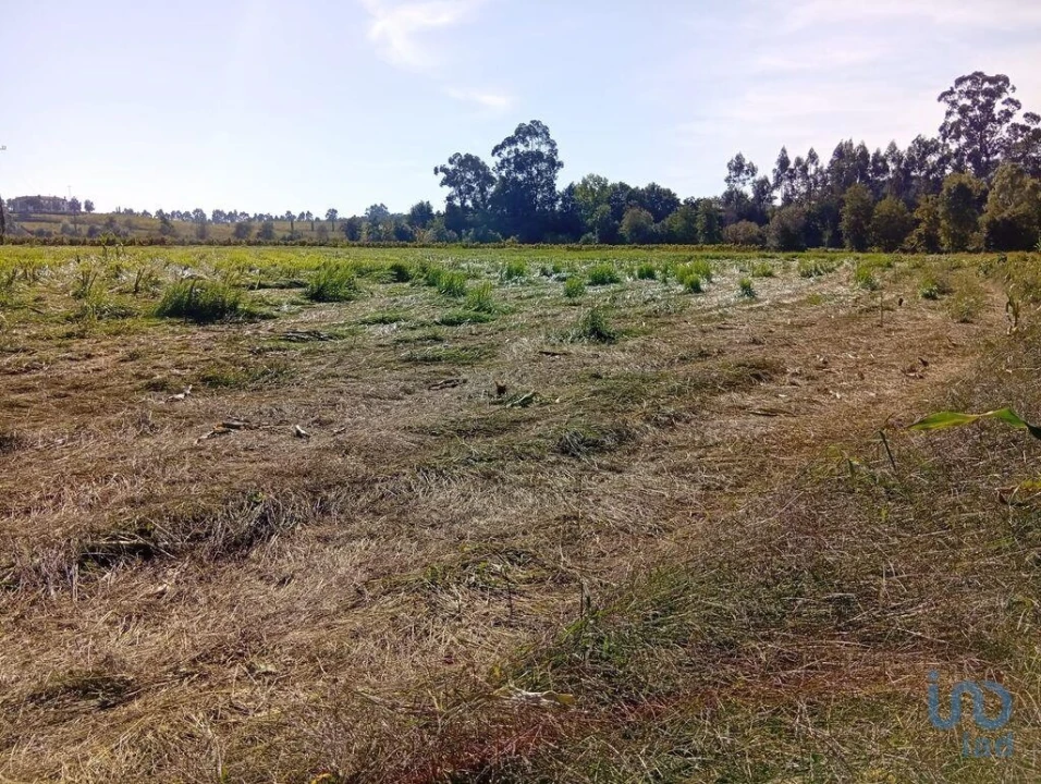 Terreno para Venda em Anais Foto 5
