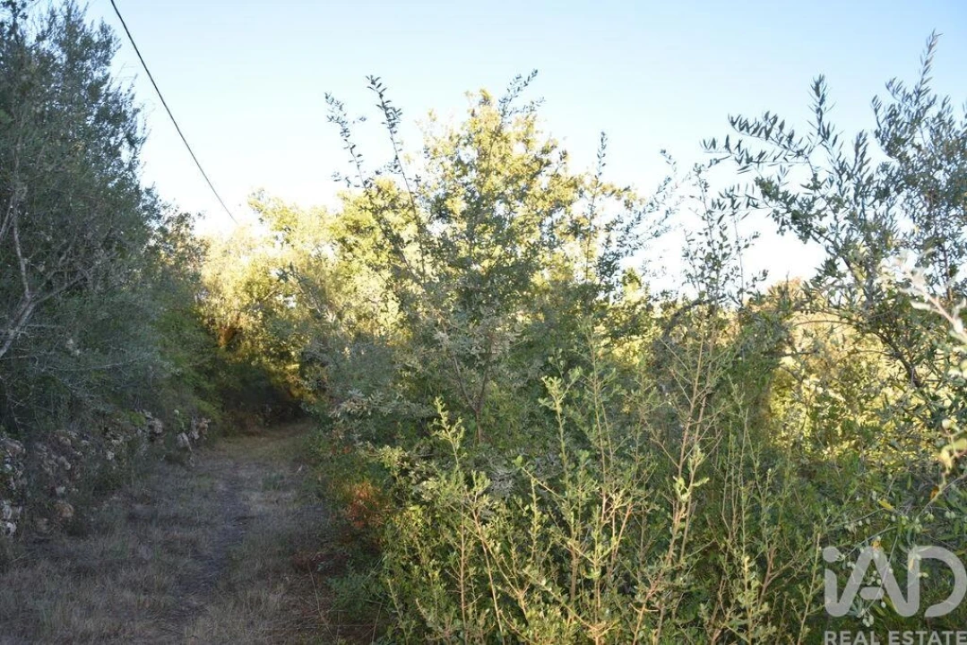 Terreno para Venda em Chãos Foto 27