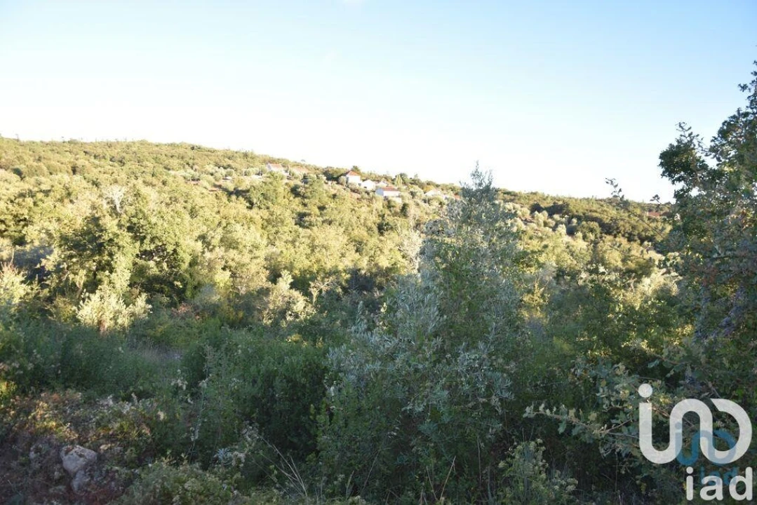 Terreno para Venda em Chãos Foto 6