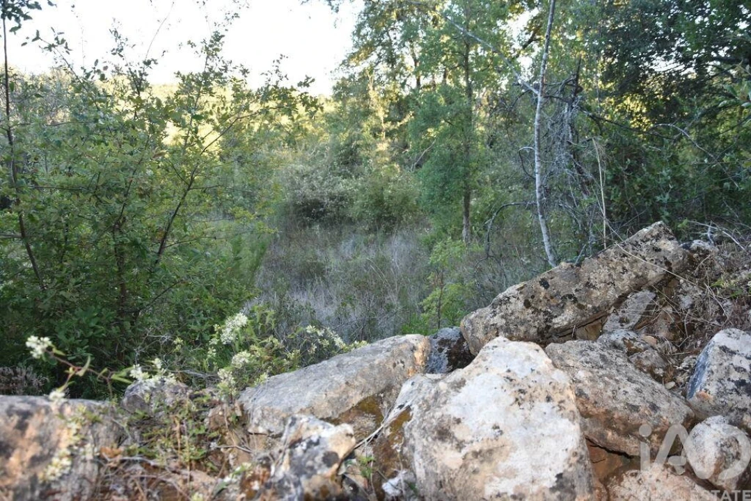 Terreno para Venda em Chãos Foto 26
