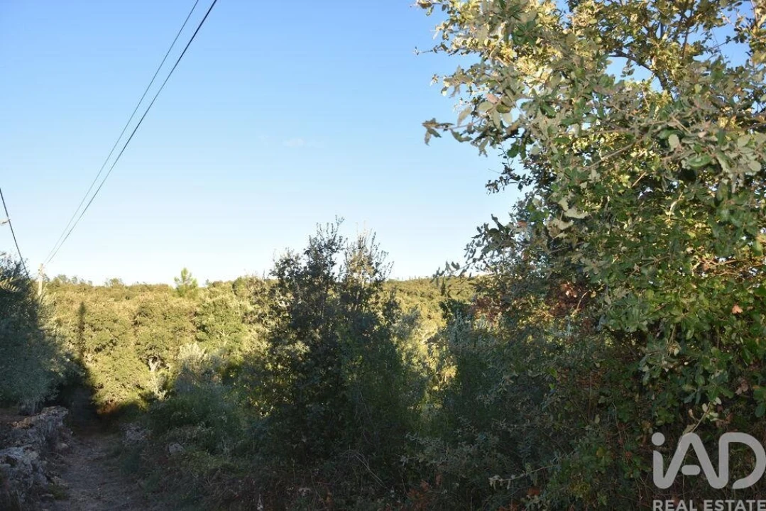 Terreno para Venda em Chãos Foto 33