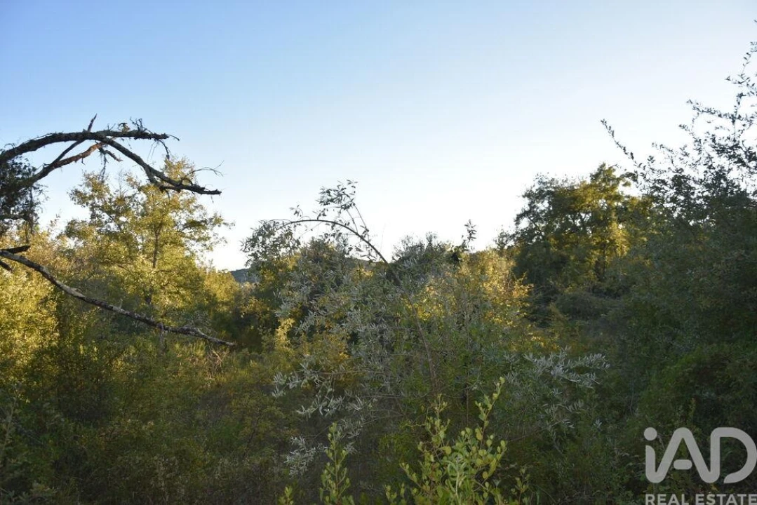 Terreno para Venda em Chãos Foto 22