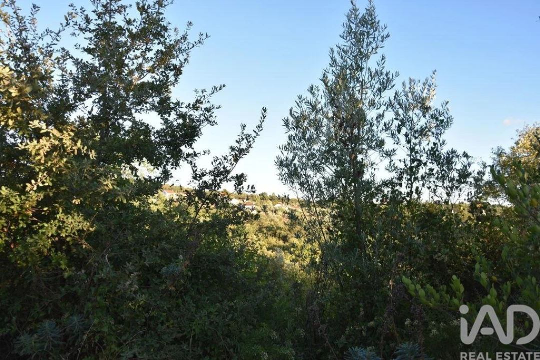 Terreno para Venda em Chãos Foto 34