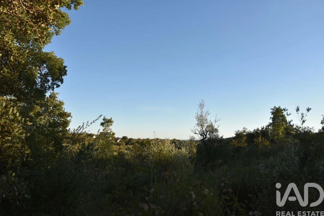 Terreno para Venda em Chãos Foto 30
