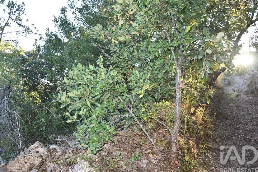 Terreno para Venda em Chãos Foto 25