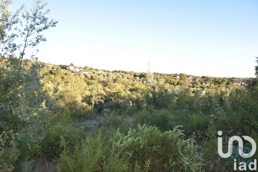 Terreno para Venda em Chãos Foto 12