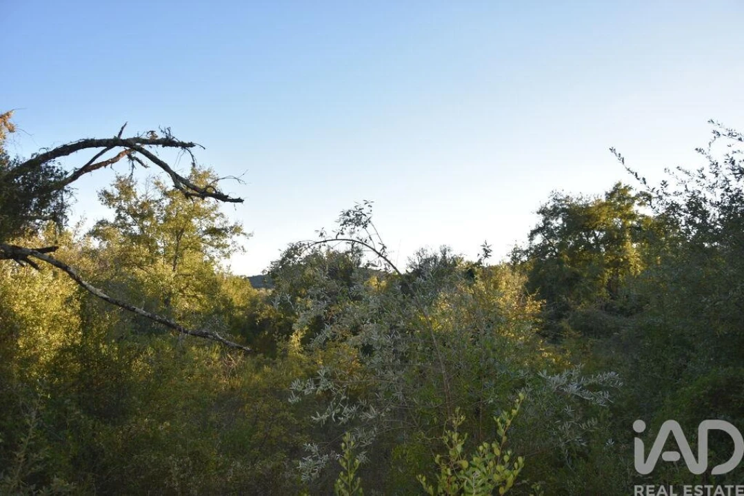 Terreno para Venda em Chãos Foto 21