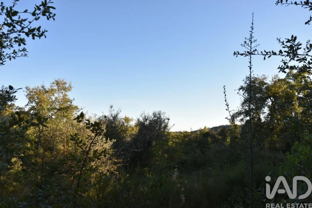 Terreno para Venda em Chãos Foto 28