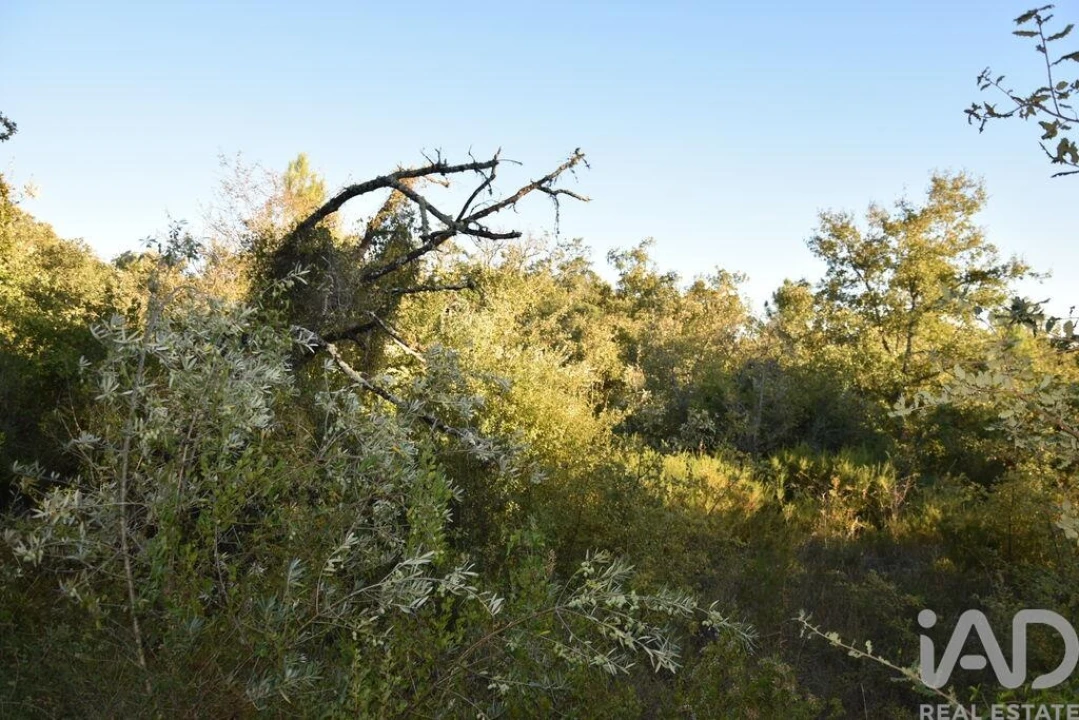 Terreno para Venda em Chãos Foto 23