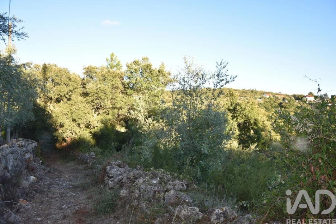 Terreno para Venda em Chãos Foto 29