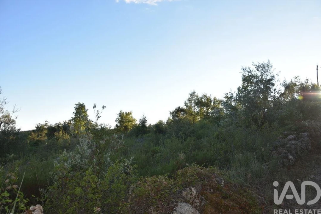 Terreno para Venda em Chãos Foto 31