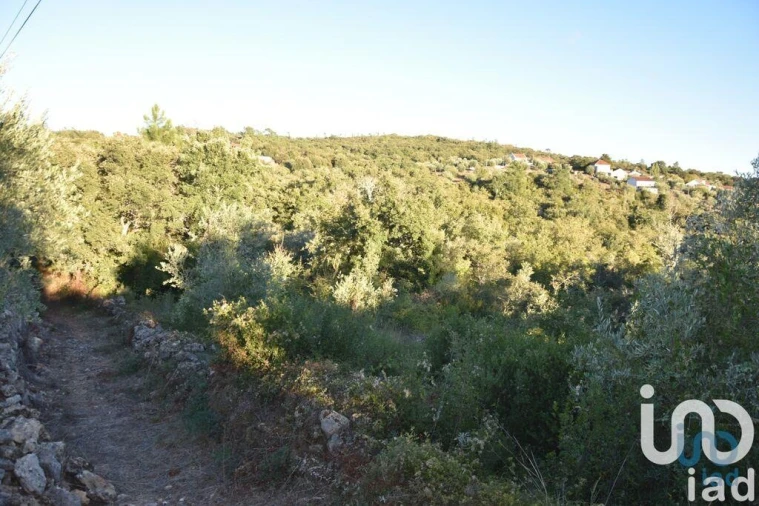 Terreno para Venda em Chãos Foto 7