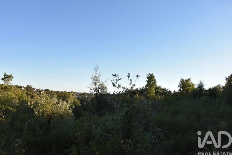 Terreno para Venda em Chãos Foto 15