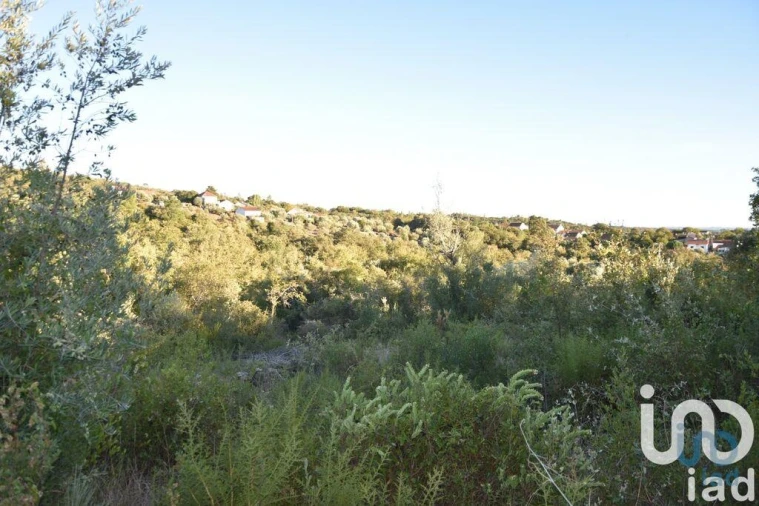 Terreno para Venda em Chãos Foto 12