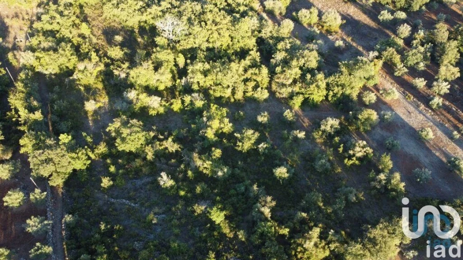 Terreno para Venda em Chãos Foto 2