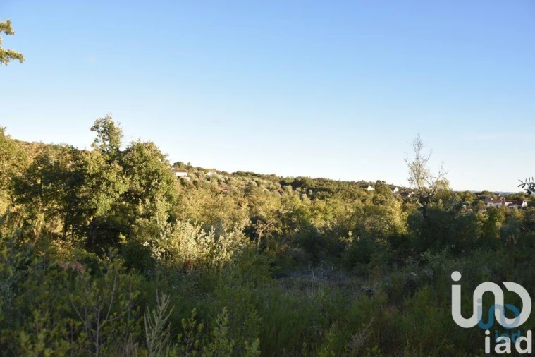 Terreno para Venda em Chãos Foto 14
