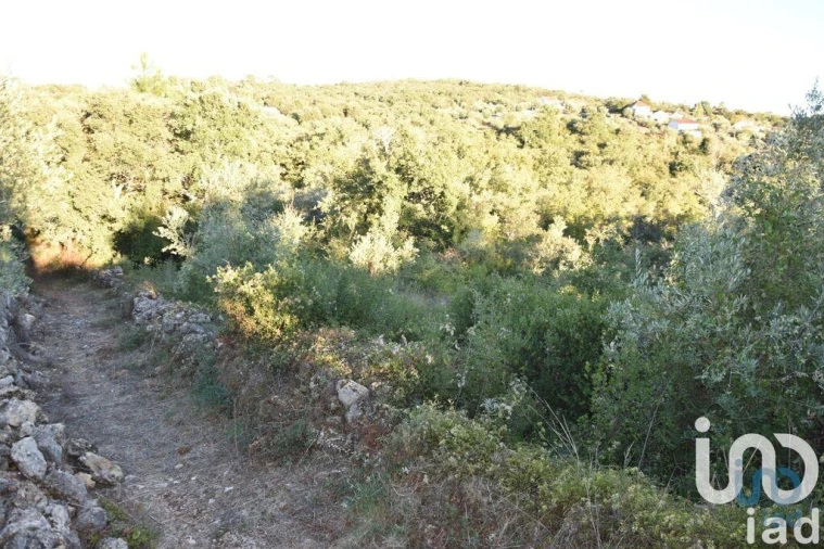 Terreno para Venda em Chãos Foto 5