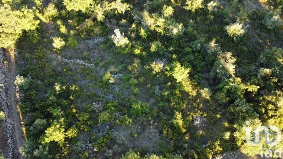 Terreno para Venda em Chãos Foto 4