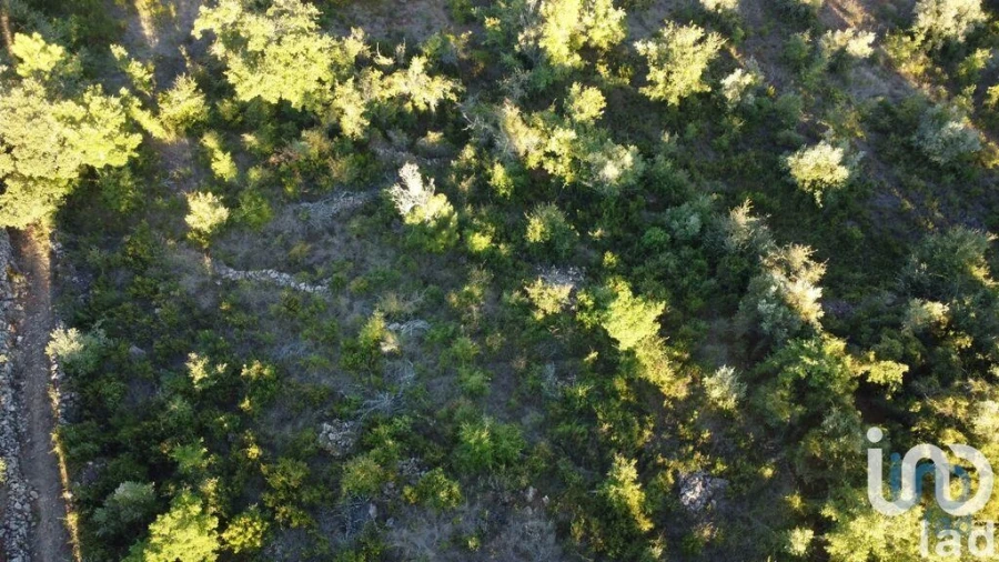 Terreno para Venda em Chãos Foto 3