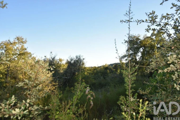 Terreno para Venda em Chãos Foto 24