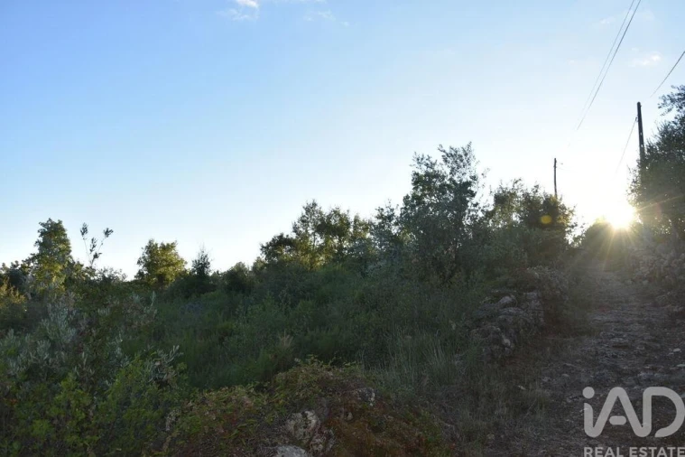 Terreno para Venda em Chãos Foto 32