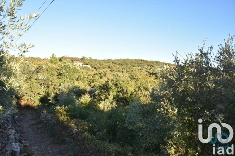 Terreno para Venda em Chãos Foto 8