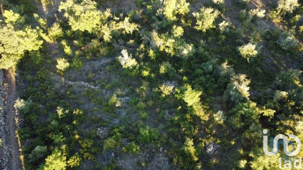 Terreno para Venda em Chãos Foto 3