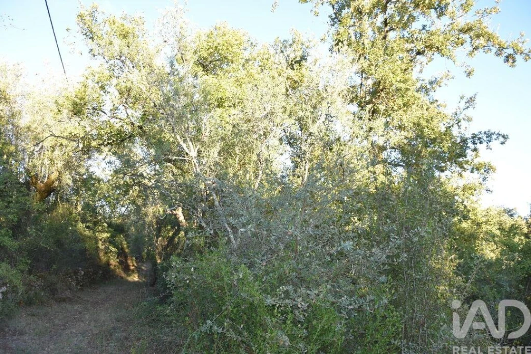 Terreno para Venda em Chãos Foto 18