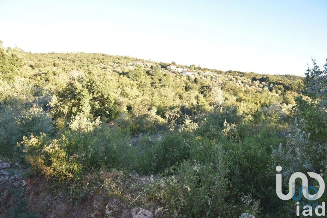 Terreno para Venda em Chãos Foto 10