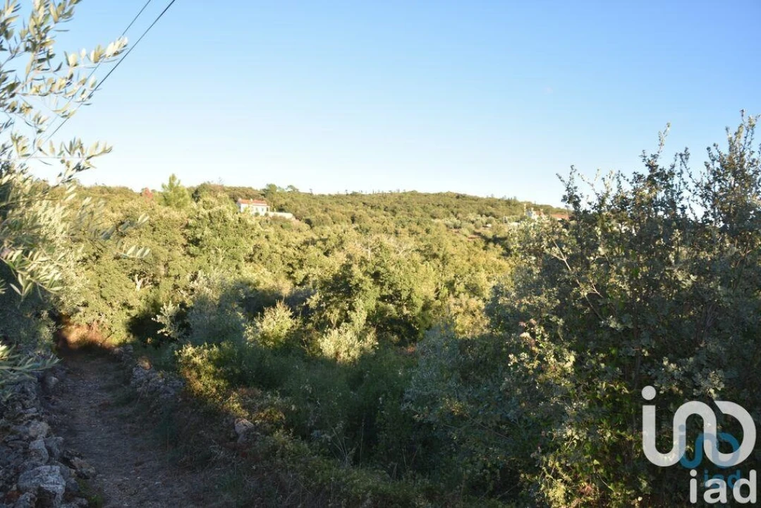 Terreno para Venda em Chãos Foto 8